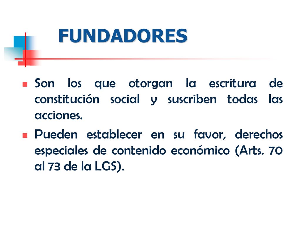 FUNDADORES Son los que otorgan la escritura de constitución social y suscriben todas las acciones.