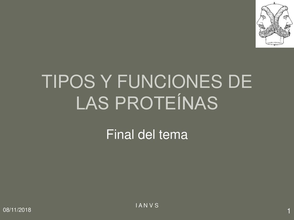TIPOS Y FUNCIONES DE LAS PROTEÍNAS