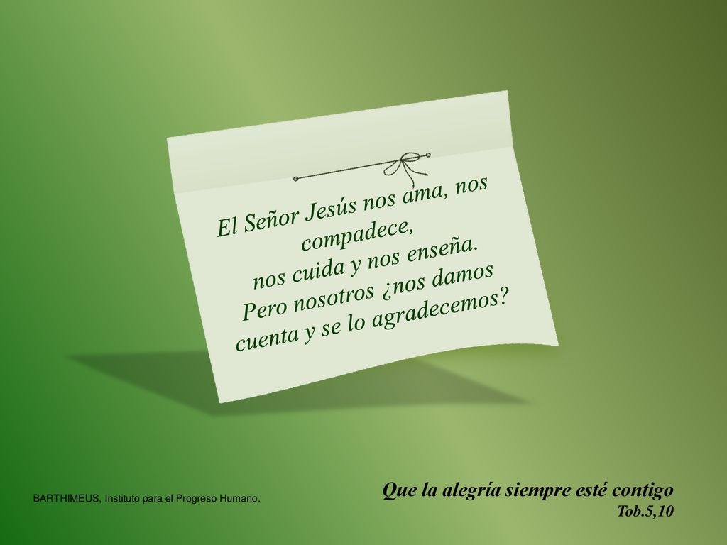 El Señor Jesús nos ama, nos compadece, nos cuida y nos enseña.