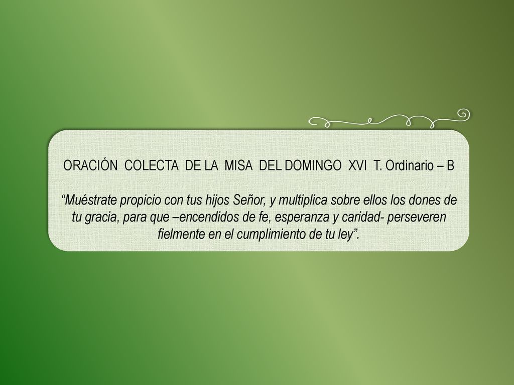 ORACIÓN COLECTA DE LA MISA DEL DOMINGO XVI T. Ordinario – B
