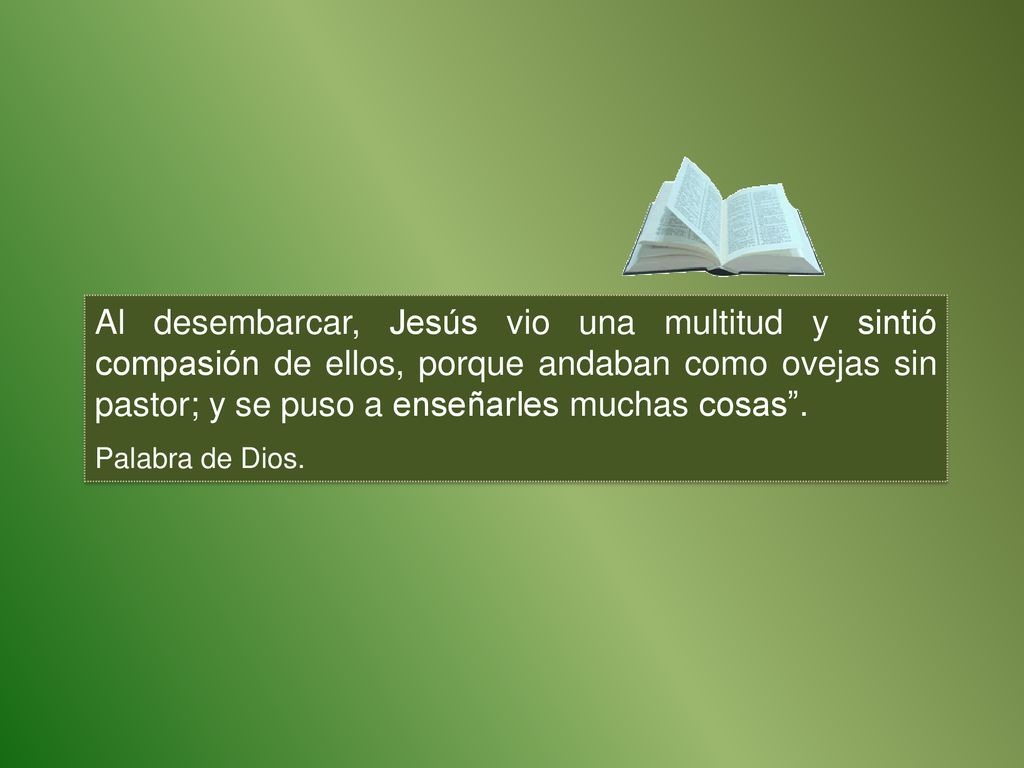 Al desembarcar, Jesús vio una multitud y sintió compasión de ellos, porque andaban como ovejas sin pastor; y se puso a enseñarles muchas cosas .