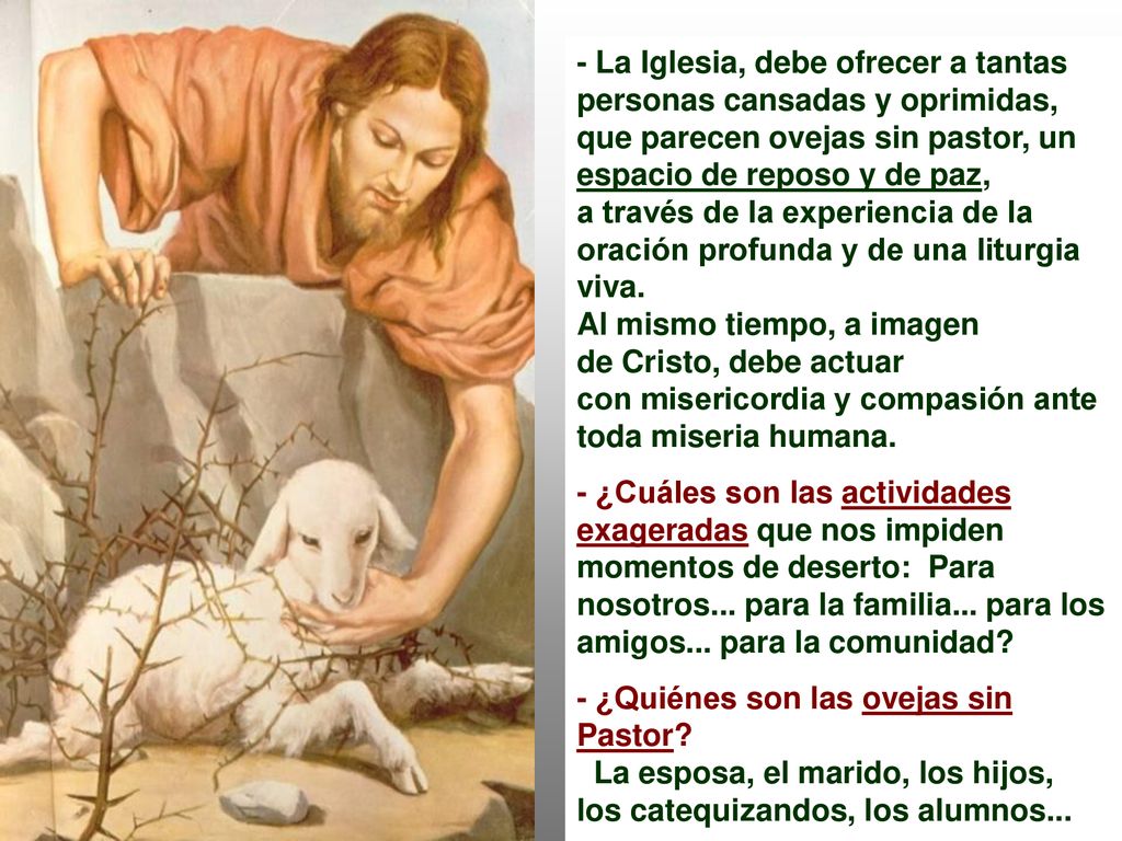 - La Iglesia, debe ofrecer a tantas personas cansadas y oprimidas,