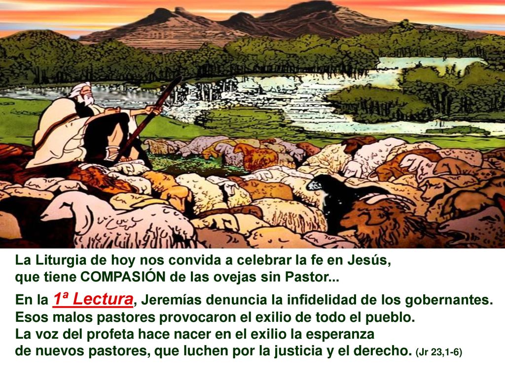 La Liturgia de hoy nos convida a celebrar la fe en Jesús,