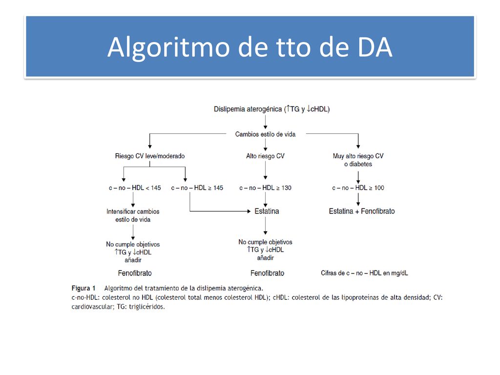Algoritmo de tto de DA Documentos más relevantes en prevención CV