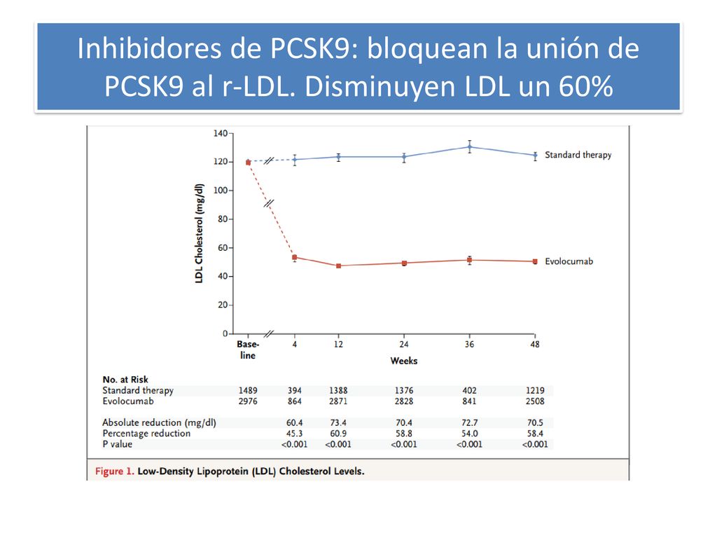 Inhibidores de PCSK9: bloquean la unión de PCSK9 al r-LDL