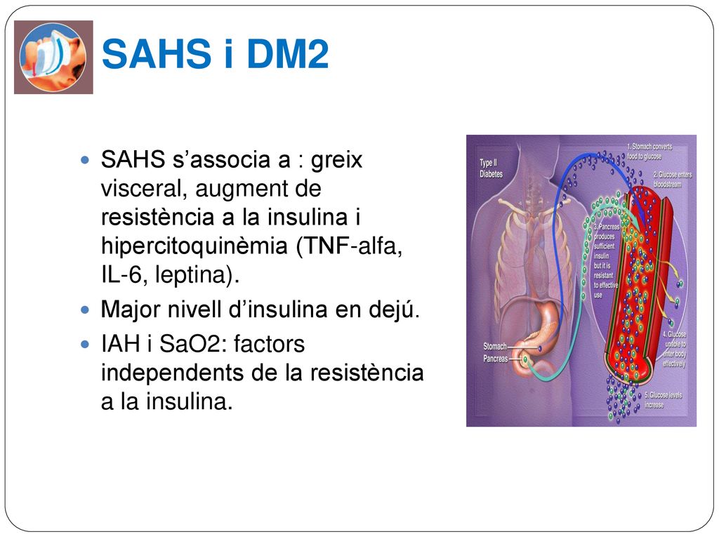 SAHS i DM2 SAHS s’associa a : greix visceral, augment de resistència a la insulina i hipercitoquinèmia (TNF-alfa, IL-6, leptina).