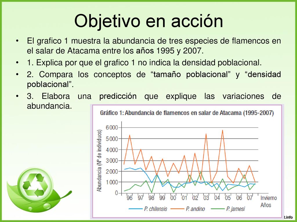 Objetivo en acción El grafico 1 muestra la abundancia de tres especies de flamencos en el salar de Atacama entre los años 1995 y