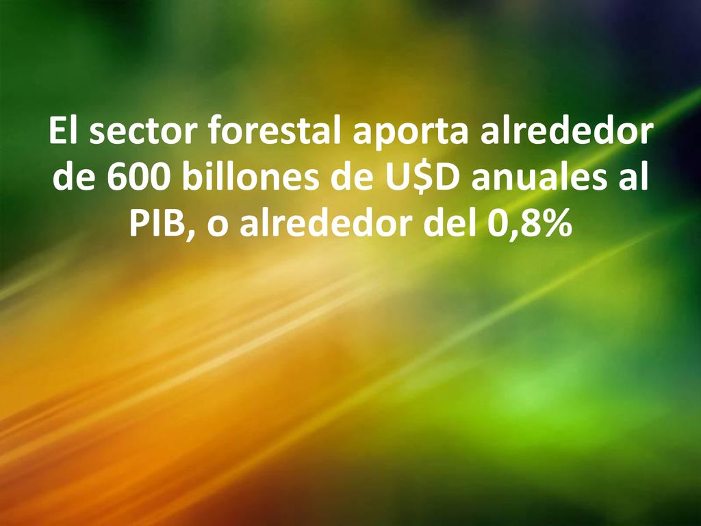 El sector forestal aporta alrededor de 600 billones de U$D anuales al PIB, o alrededor del 0,8%