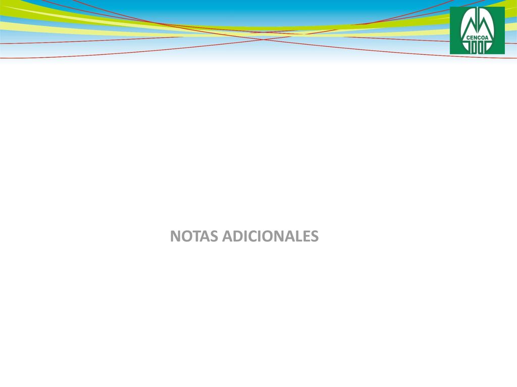 NOTAS ADICIONALES