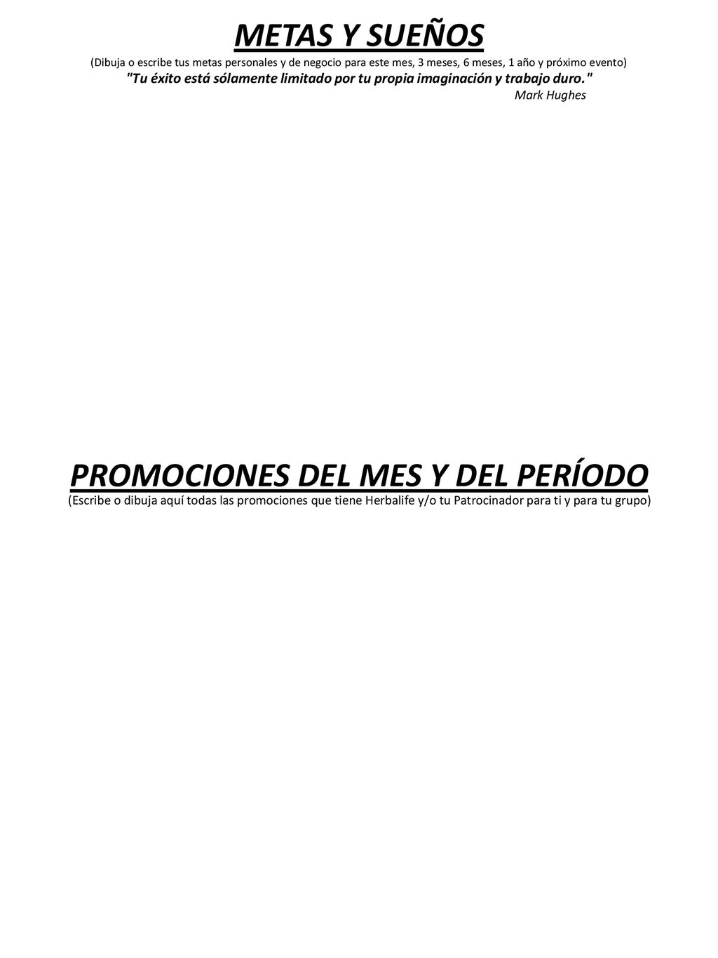 METAS Y SUEÑOS (Dibuja o escribe tus metas personales y de negocio para este mes, 3 meses, 6 meses, 1 año y próximo evento)