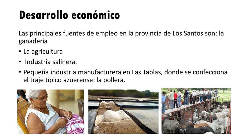 Desarrollo económico Las principales fuentes de empleo en la provincia de Los Santos son: la ganadería.