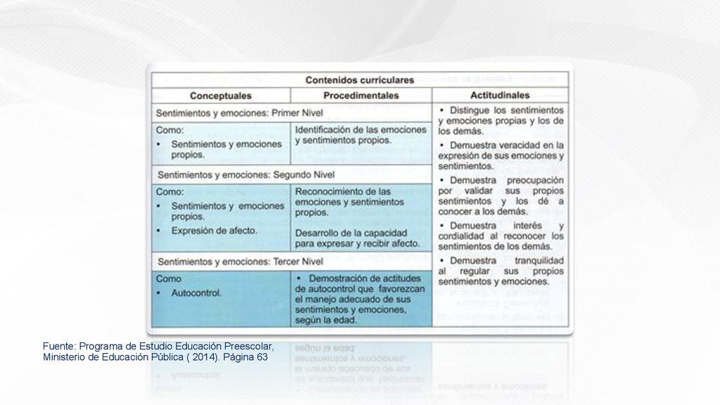Fuente: Programa de Estudio Educación Preescolar, Ministerio de Educación Pública ( 2014). Página 63