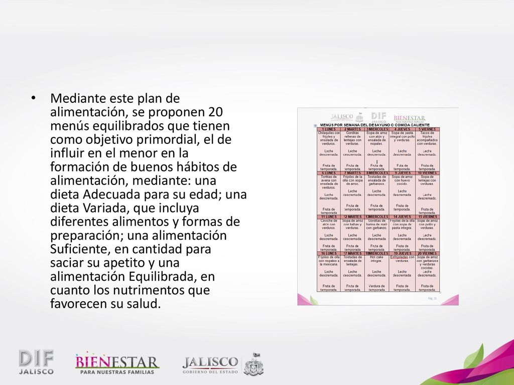 Mediante este plan de alimentación, se proponen 20 menús equilibrados que tienen como objetivo primordial, el de influir en el menor en la formación de buenos hábitos de alimentación, mediante: una dieta Adecuada para su edad; una dieta Variada, que incluya diferentes alimentos y formas de preparación; una alimentación Suficiente, en cantidad para saciar su apetito y una alimentación Equilibrada, en cuanto los nutrimentos que favorecen su salud.
