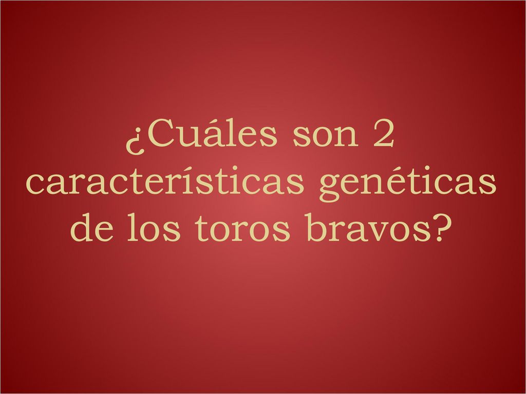 ¿Cuáles son 2 características genéticas de los toros bravos