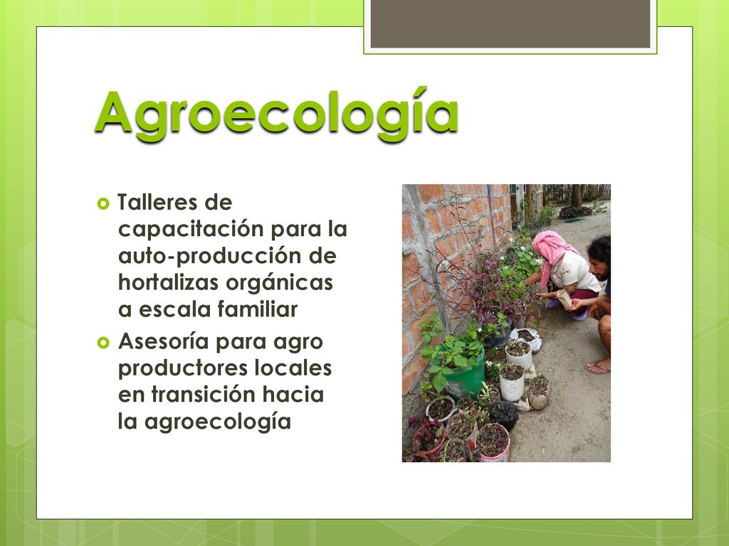 Agroecología Talleres de capacitación para la auto-producción de hortalizas orgánicas a escala familiar.
