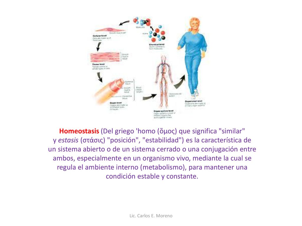 Homeostasis (Del griego homo (ὅμος) que significa similar y estasis (στάσις) posición , estabilidad ) es la característica de un sistema abierto o de un sistema cerrado o una conjugación entre ambos, especialmente en un organismo vivo, mediante la cual se regula el ambiente interno (metabolismo), para mantener una condición estable y constante.
