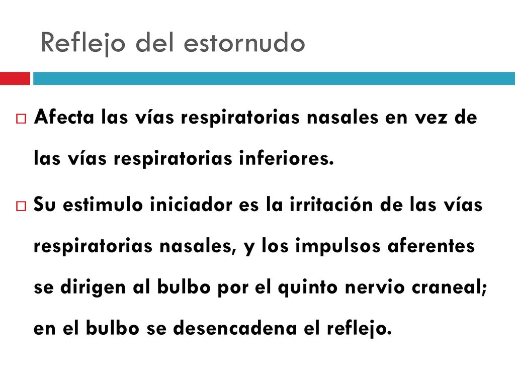 Reflejo del estornudo Afecta las vías respiratorias nasales en vez de las vías respiratorias inferiores.