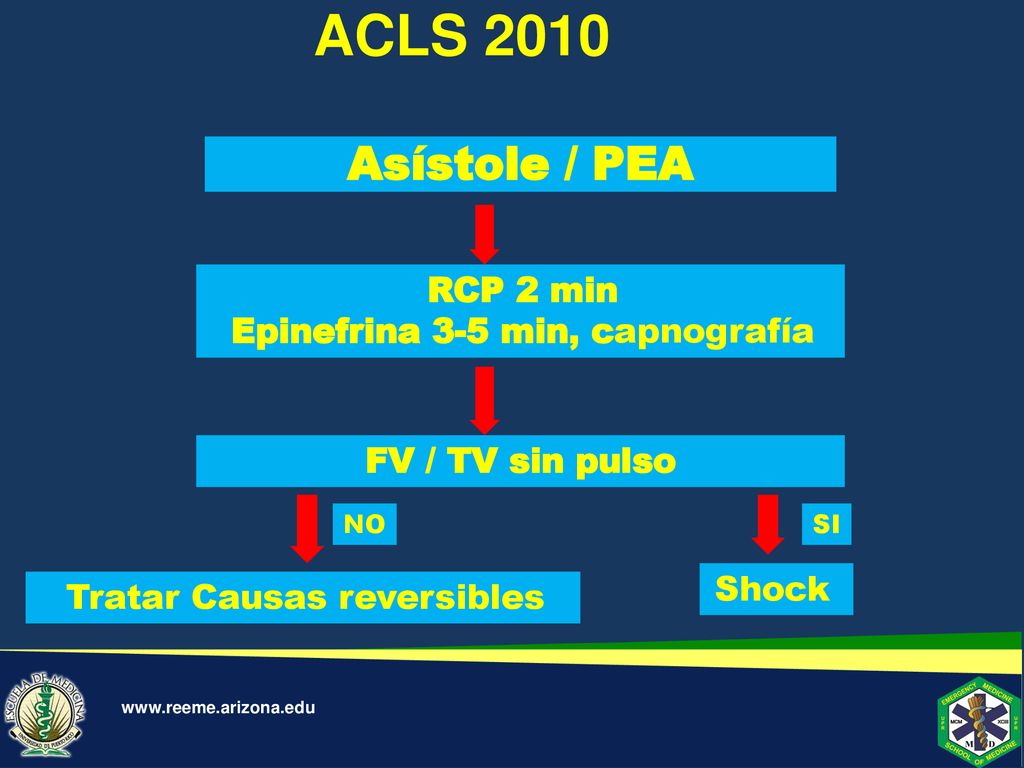 ACLS 2010 Asístole / PEA RCP 2 min Epinefrina 3-5 min, capnografía