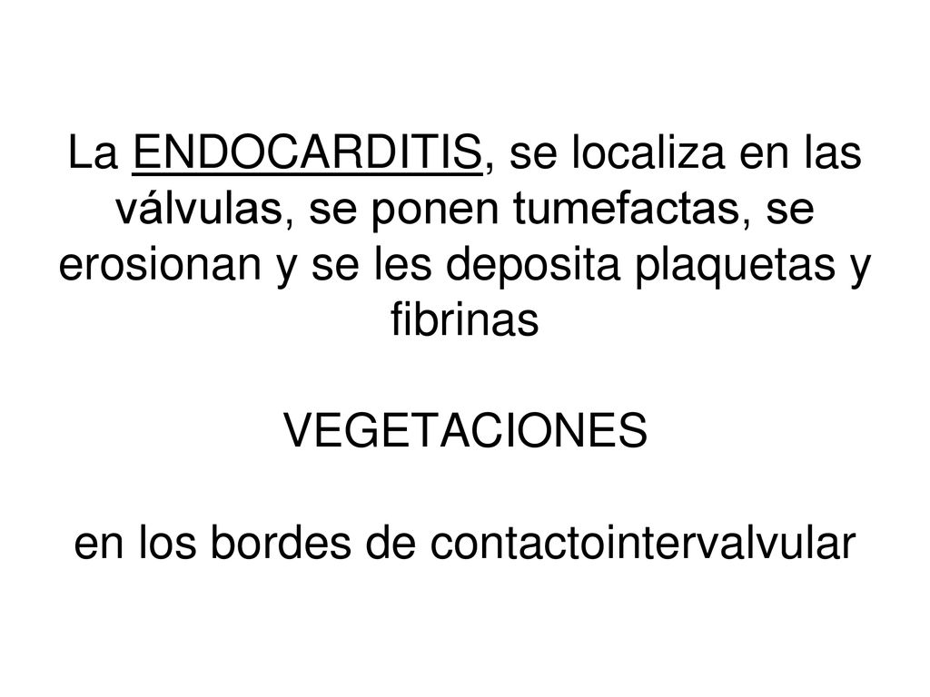 La ENDOCARDITIS, se localiza en las válvulas, se ponen tumefactas, se erosionan y se les deposita plaquetas y fibrinas VEGETACIONES en los bordes de contactointervalvular