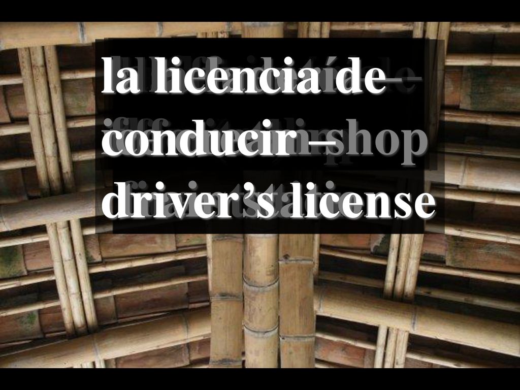 la heladería – ice cream shop. la licencia de. conducir – driver’s license. la floristería – flower shop.