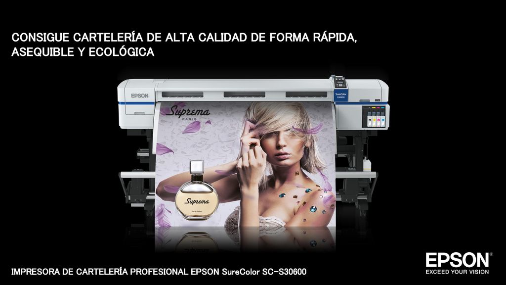 IMPRESORA DE CARTELERÍA PROFESIONAL EPSON SureColor SC-S30600