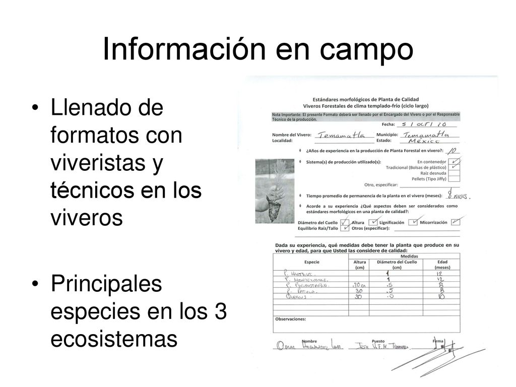 Información en campo Llenado de formatos con viveristas y técnicos en los viveros.
