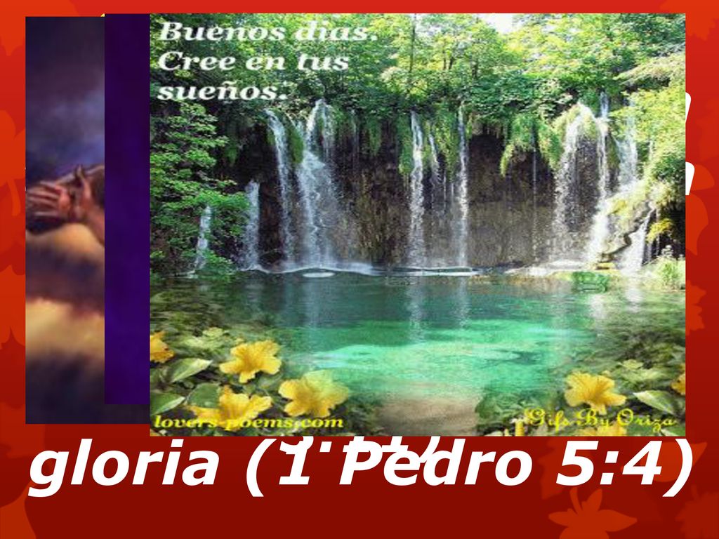 4. LA CORONA DE ESPINAS (representa sufrimiento, pero también gloria)