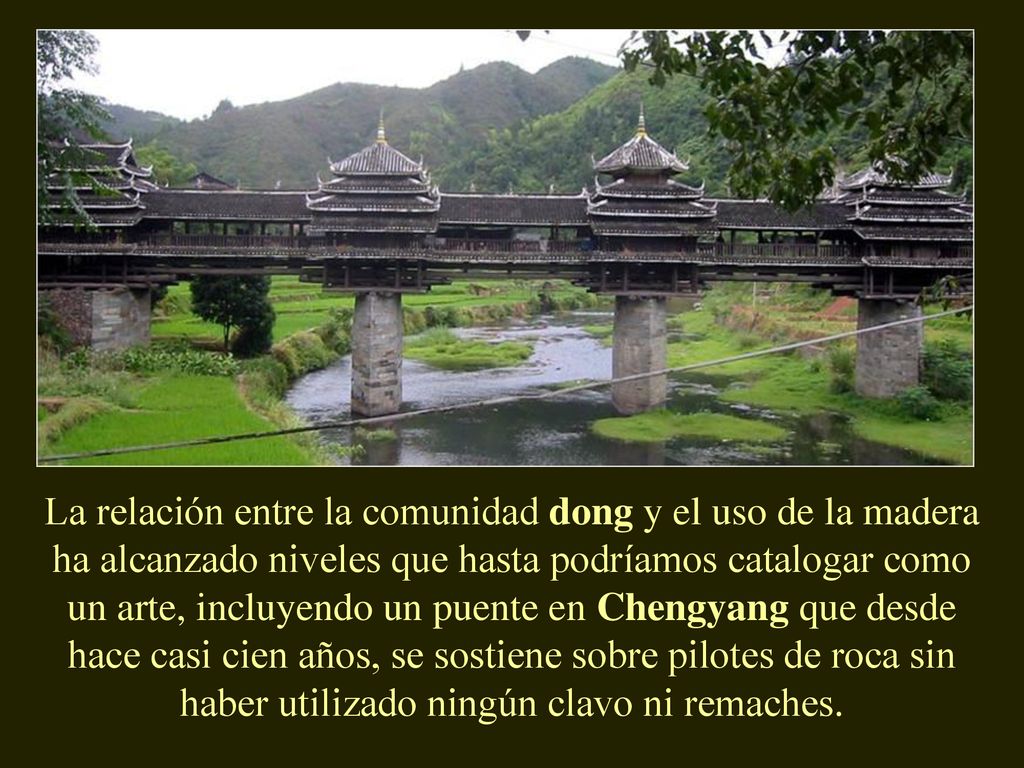 La relación entre la comunidad dong y el uso de la madera ha alcanzado niveles que hasta podríamos catalogar como un arte, incluyendo un puente en Chengyang que desde hace casi cien años, se sostiene sobre pilotes de roca sin haber utilizado ningún clavo ni remaches.