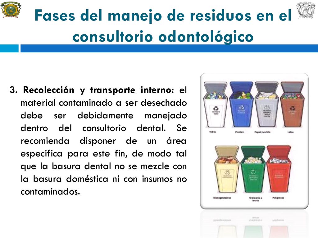 Fases del manejo de residuos en el consultorio odontológico