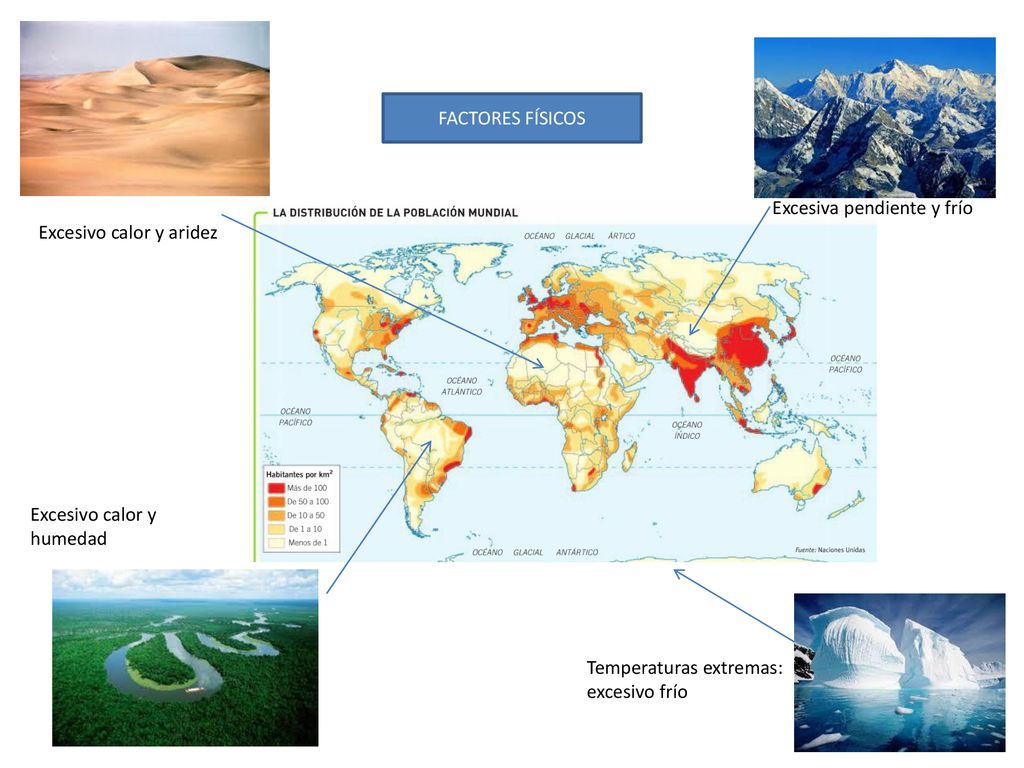 FACTORES FÍSICOS Excesiva pendiente y frío. Excesivo calor y aridez.