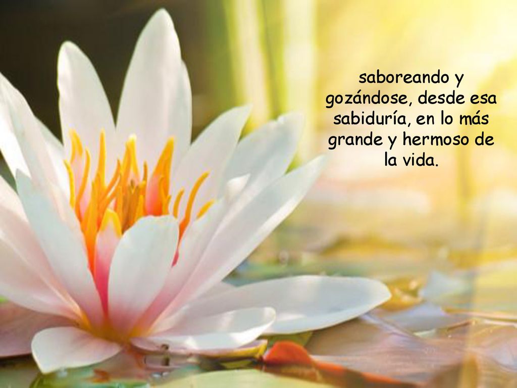 saboreando y gozándose, desde esa sabiduría, en lo más grande y hermoso de la vida.
