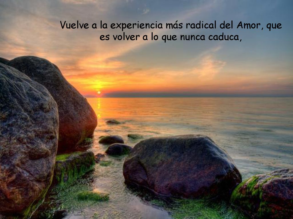 Vuelve a la experiencia más radical del Amor, que es volver a lo que nunca caduca,