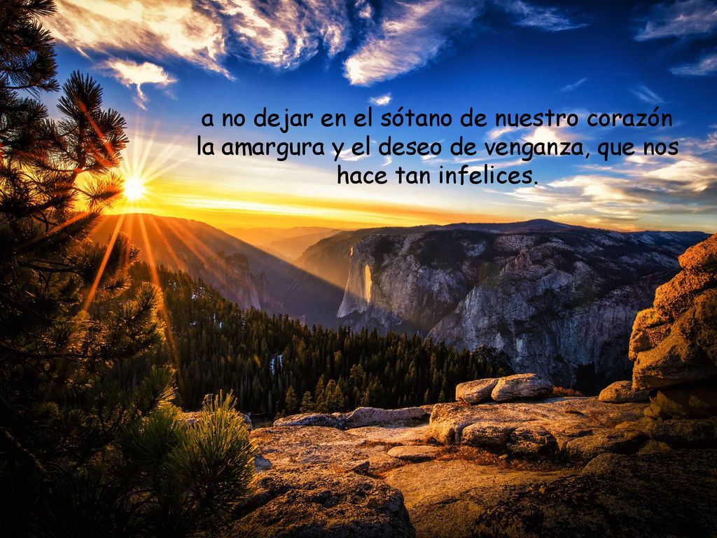 a no dejar en el sótano de nuestro corazón la amargura y el deseo de venganza, que nos hace tan infelices.