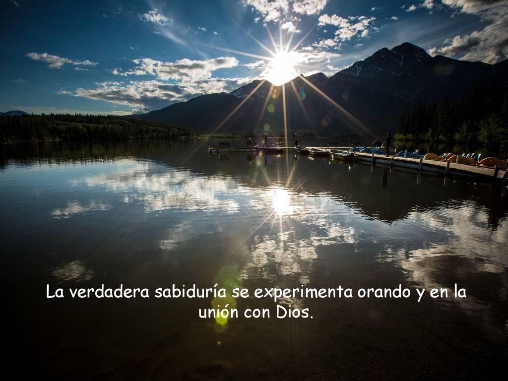 La verdadera sabiduría se experimenta orando y en la unión con Dios.