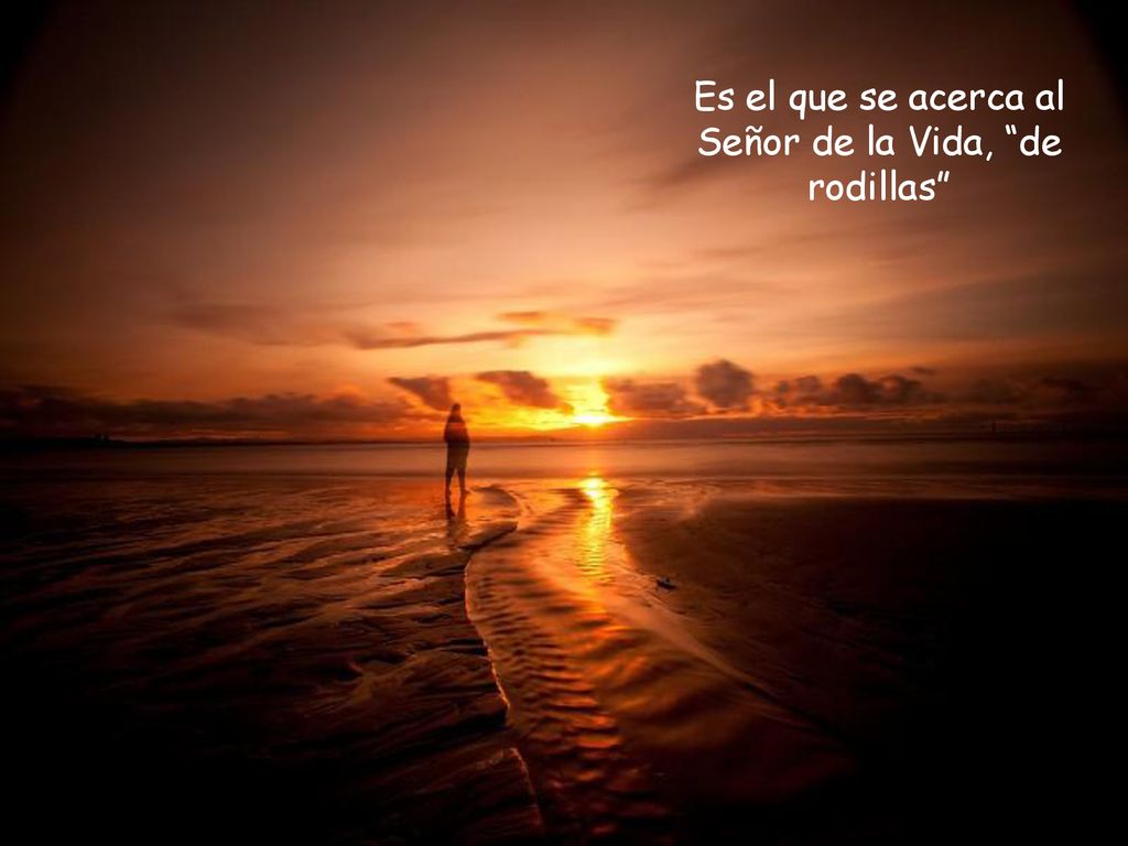 Es el que se acerca al Señor de la Vida, de rodillas