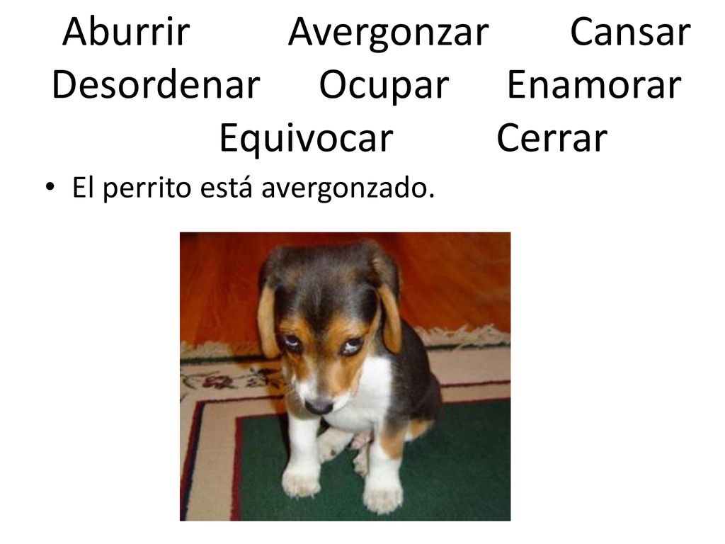 Aburrir Avergonzar Cansar Desordenar Ocupar Enamorar Equivocar Cerrar