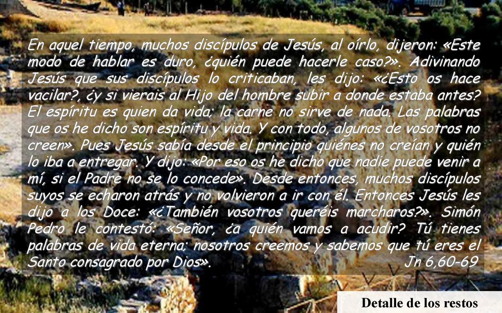 En aquel tiempo, muchos discípulos de Jesús, al oírlo, dijeron: «Este modo de hablar es duro, ¿quién puede hacerle caso ». Adivinando Jesús que sus discípulos lo criticaban, les dijo: «¿Esto os hace vacilar , ¿y si vierais al Hijo del hombre subir a donde estaba antes El espíritu es quien da vida; la carne no sirve de nada. Las palabras que os he dicho son espíritu y vida. Y con todo, algunos de vosotros no creen». Pues Jesús sabía desde el principio quiénes no creían y quién lo iba a entregar. Y dijo: «Por eso os he dicho que nadie puede venir a mí, si el Padre no se lo concede». Desde entonces, muchos discípulos suyos se echaron atrás y no volvieron a ir con él. Entonces Jesús les dijo a los Doce: «¿También vosotros queréis marcharos ». Simón Pedro le contestó: «Señor, ¿a quién vamos a acudir Tú tienes palabras de vida eterna; nosotros creemos y sabemos que tú eres el Santo consagrado por Dios». Jn 6,60-69