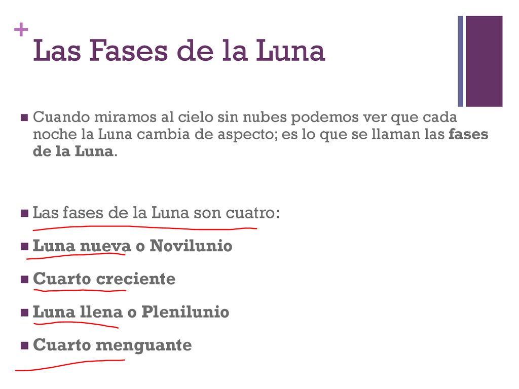 Las Fases de la Luna Las fases de la Luna son cuatro: