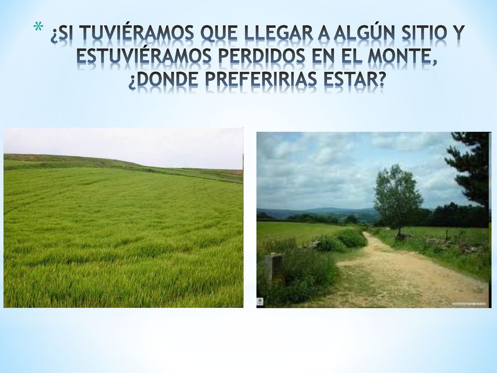 ¿SI TUVIÉRAMOS QUE LLEGAR A ALGÚN SITIO Y ESTUVIÉRAMOS PERDIDOS EN EL MONTE, ¿DONDE PREFERIRIAS ESTAR
