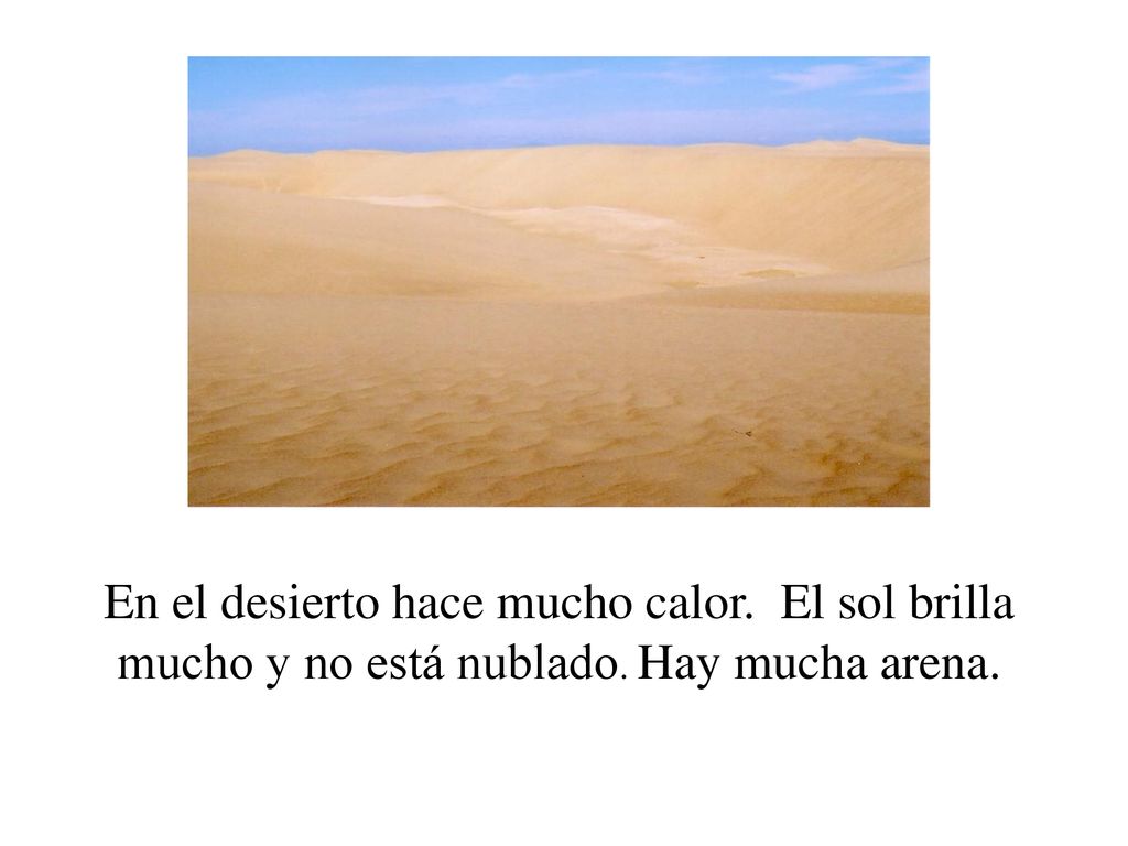 En el desierto hace mucho calor. El sol brilla mucho y no está nublado
