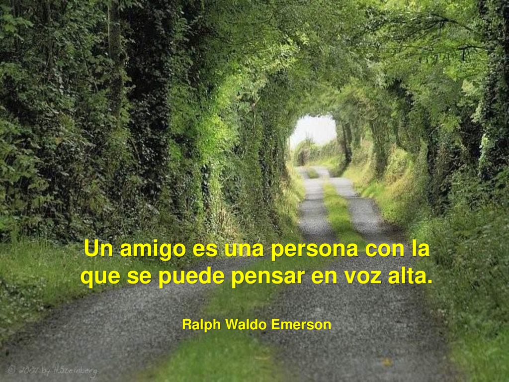 Un amigo es una persona con la que se puede pensar en voz alta.