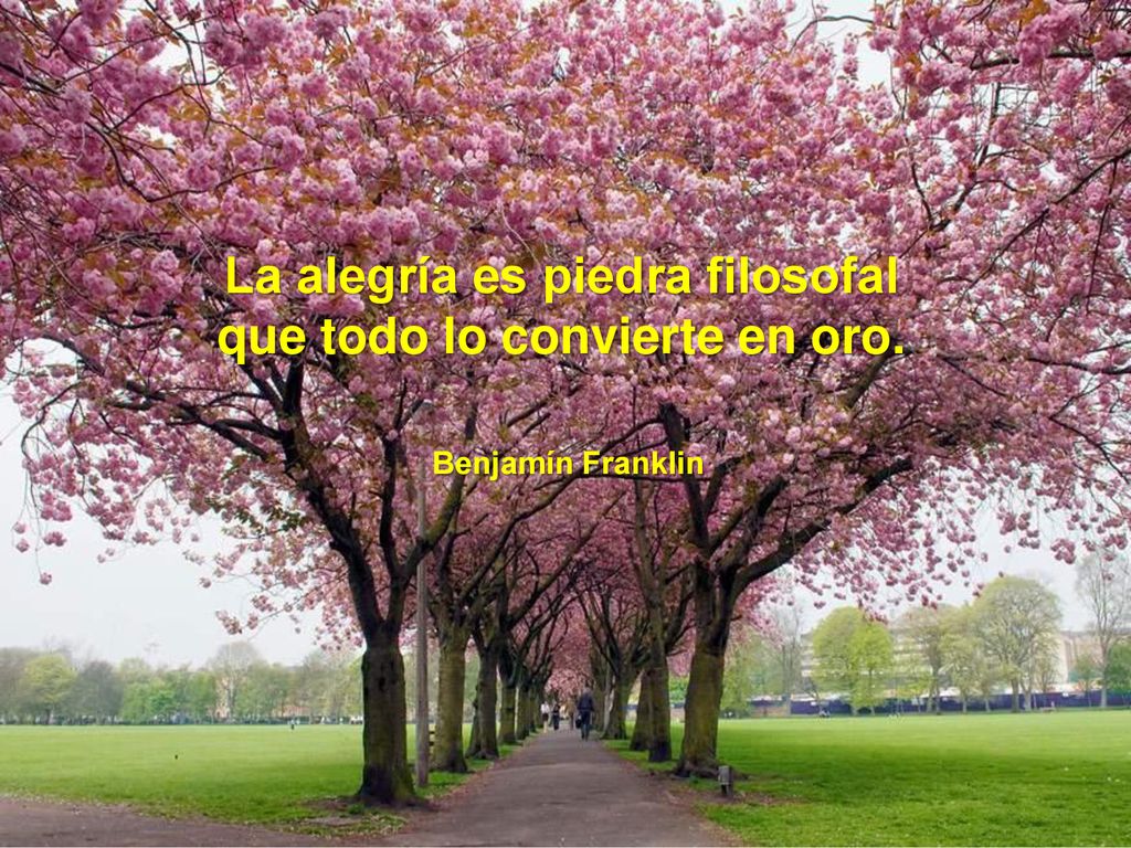 La alegría es piedra filosofal que todo lo convierte en oro.