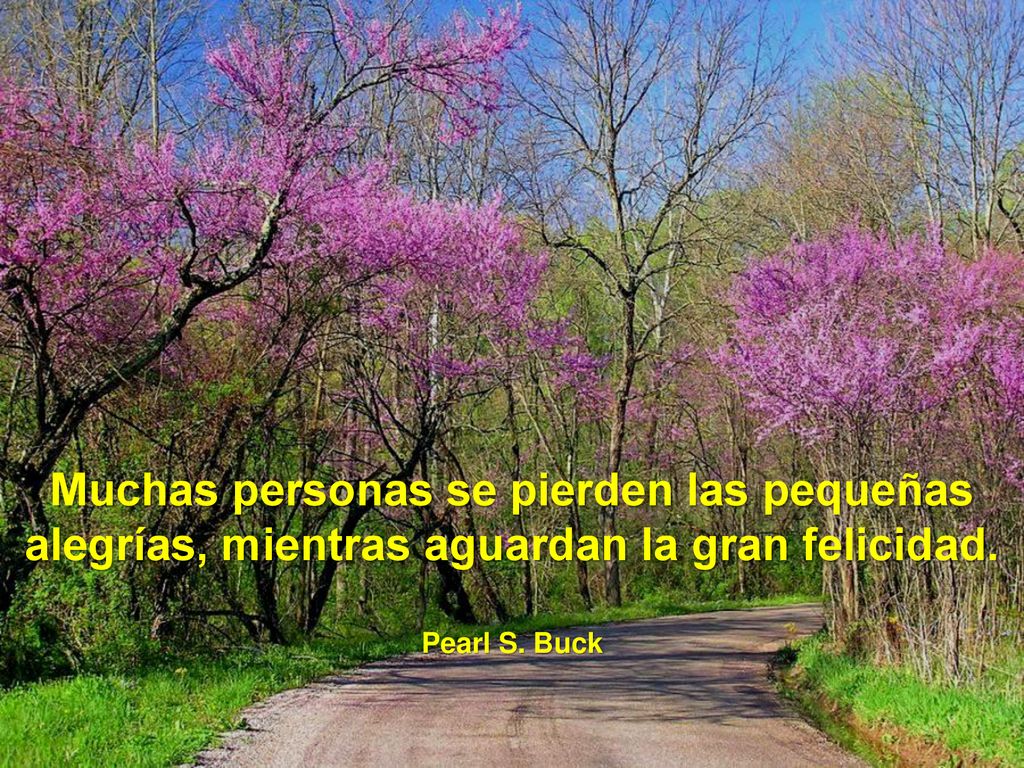 Muchas personas se pierden las pequeñas alegrías, mientras aguardan la gran felicidad.