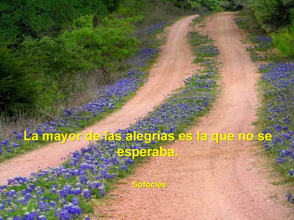 La mayor de las alegrías es la que no se esperaba.