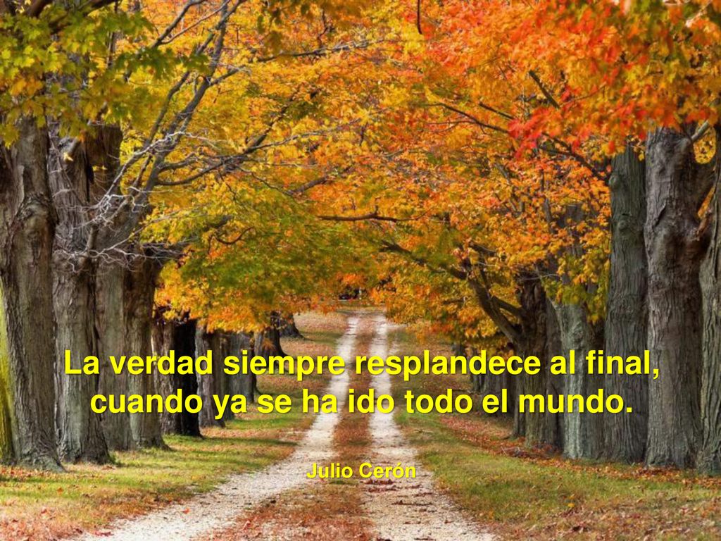 La verdad siempre resplandece al final, cuando ya se ha ido todo el mundo.