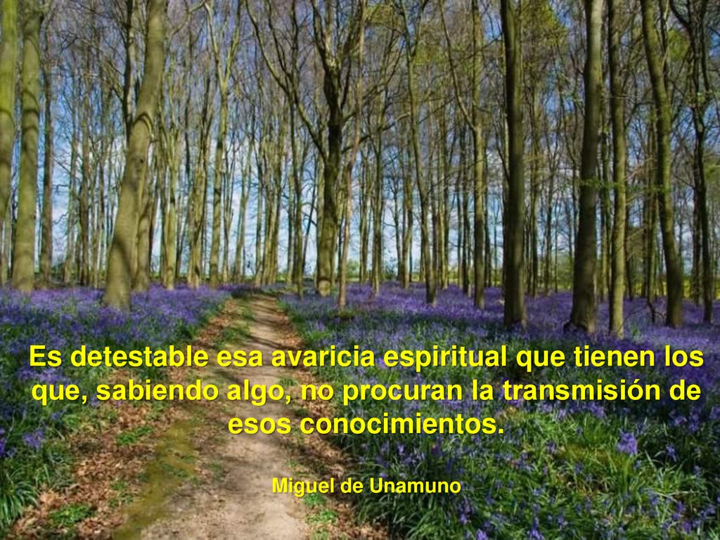 Es detestable esa avaricia espiritual que tienen los que, sabiendo algo, no procuran la transmisión de esos conocimientos.