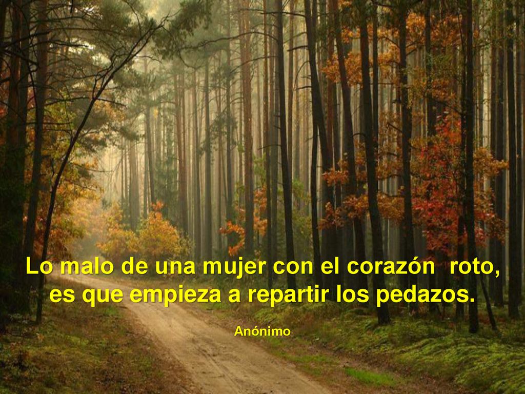 Lo malo de una mujer con el corazón roto, es que empieza a repartir los pedazos.