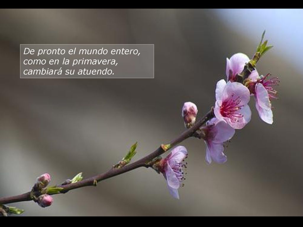 De pronto el mundo entero, como en la primavera, cambiará su atuendo.