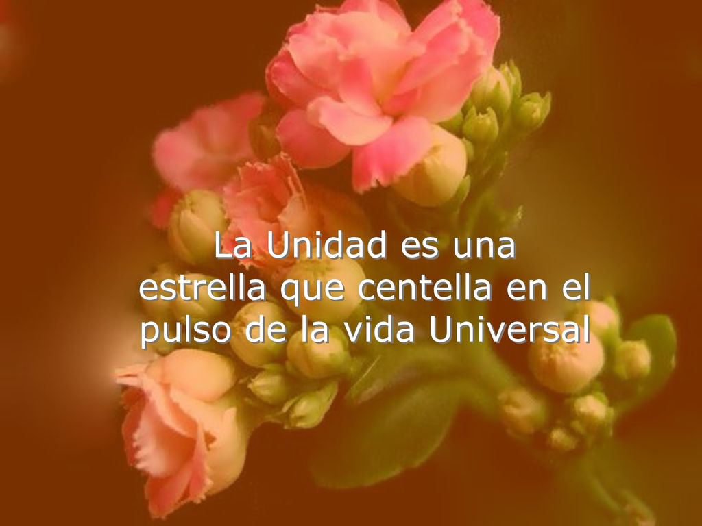 estrella que centella en el pulso de la vida Universal