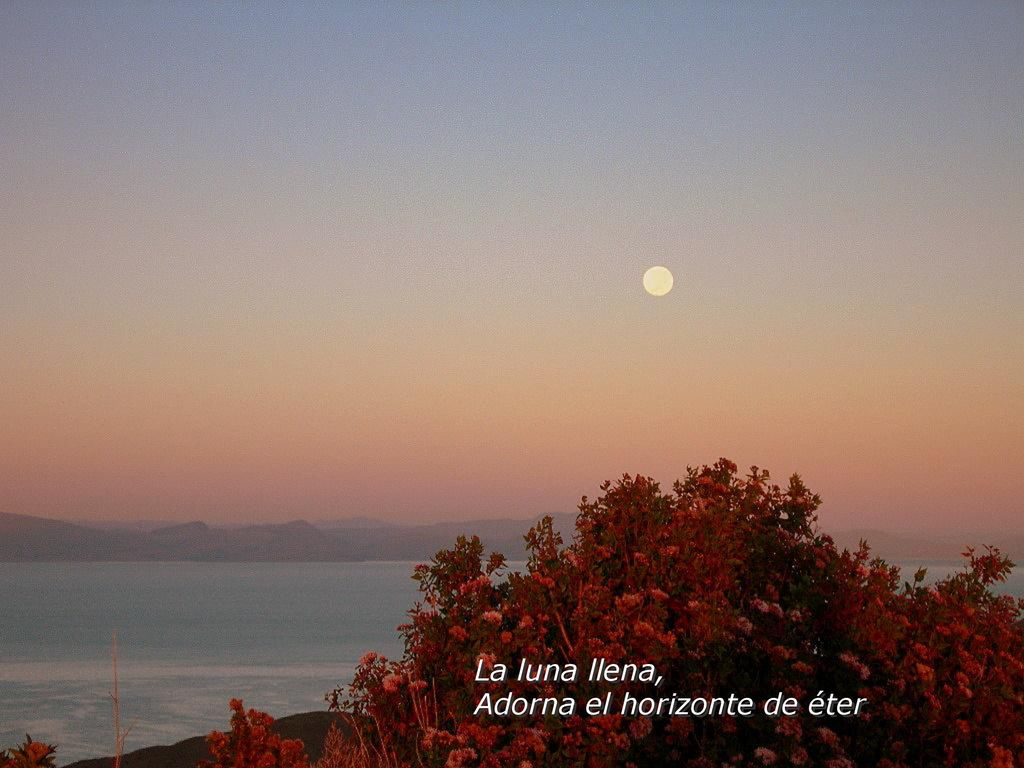 La luna llena, Adorna el horizonte de éter